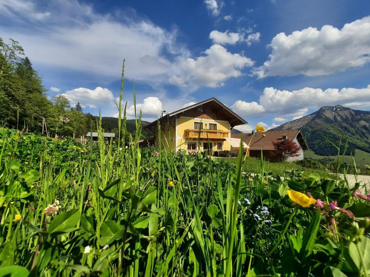 Appartement Reitlhof, Bio Berg Bauernhof Krispl Extérieur photo